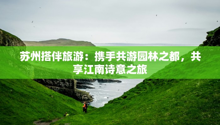 苏州搭伴旅游:携手共游园林之都,共享江南诗意之旅 苏州搭伴旅游:携手共游园林之都,共享江南诗意之旅