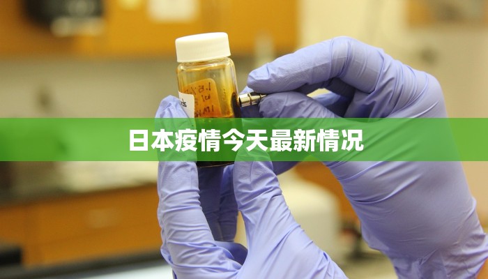 北京服装城批发市场：时尚潮流的批发天堂