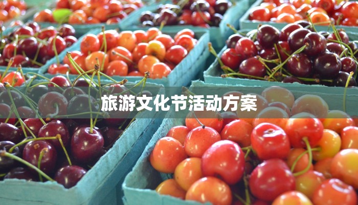 旅游文化节活动方案 旅游文化节活动方案