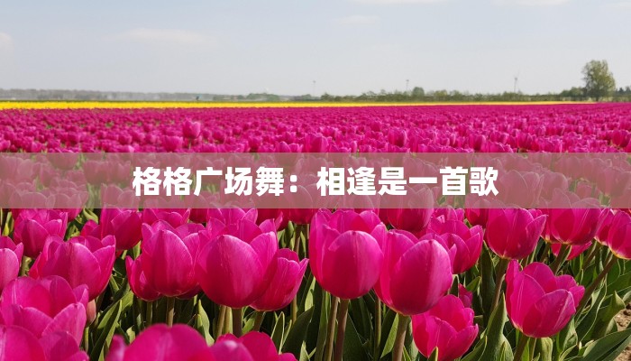 格格广场舞：相逢是一首歌