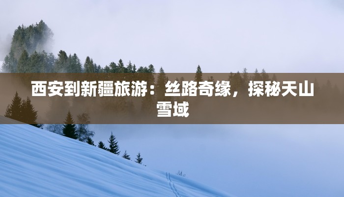 西安到新疆旅游：丝路奇缘，探秘天山雪域