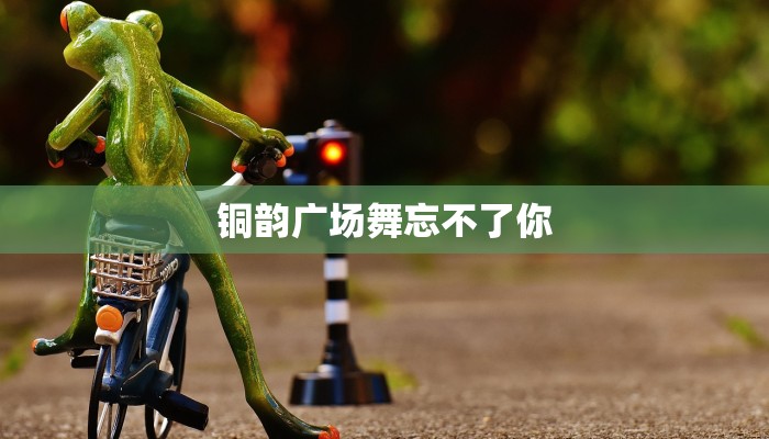 铜韵广场舞忘不了你