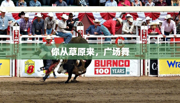 你从草原来，广场舞