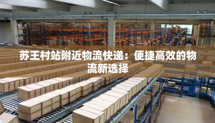 苏王村站附近物流快递：便捷高效的物流新选择