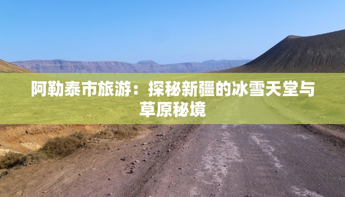 阿勒泰市旅游：探秘新疆的冰雪天堂与草原秘境