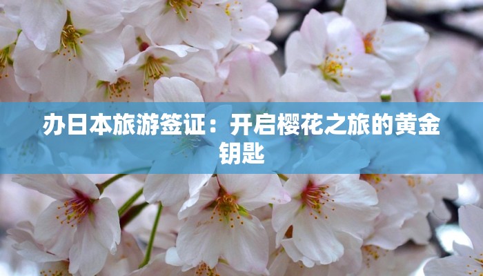 办日本旅游签证：开启樱花之旅的黄金钥匙