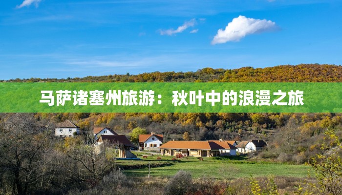 关于端午节的作文 关于端午节的作文