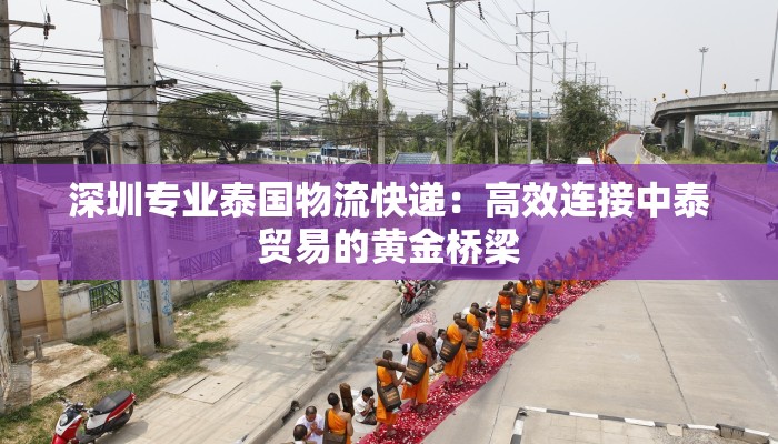 深圳专业泰国物流快递：高效连接中泰贸易的黄金桥梁