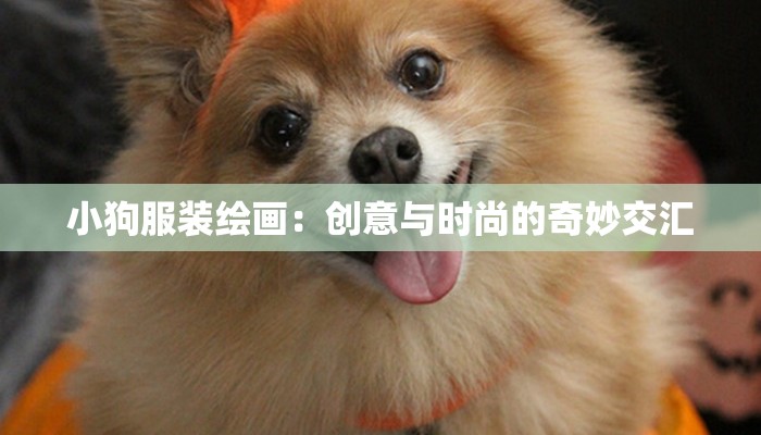 小狗服装绘画:创意与时尚的奇妙交汇 小狗服装绘画:创意与时尚的奇妙交汇