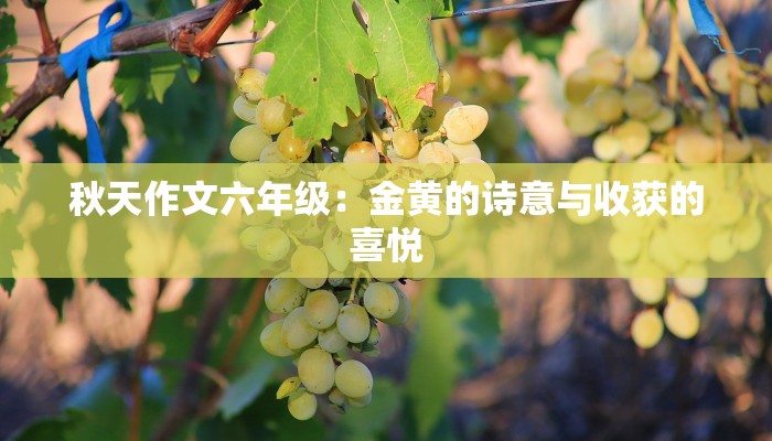 秋天作文六年级:金黄的诗意与收获的喜悦 秋天作文六年级:金黄的诗意与收获的喜悦