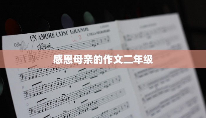 感恩母亲的作文二年级 感恩母亲的作文二年级