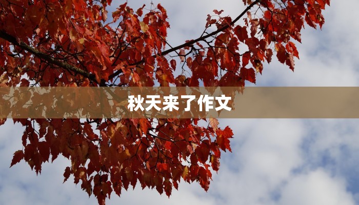 秋天来了作文 秋天来了作文