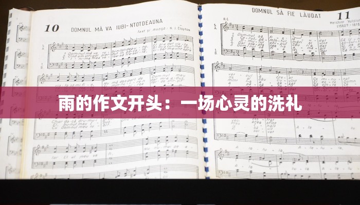 雨的作文开头：一场心灵的洗礼