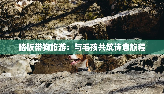 联营巷疫情最新情况