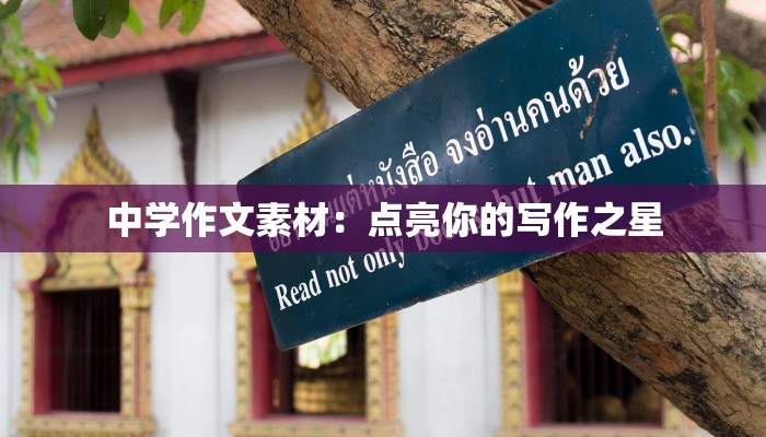 中学作文素材:点亮你的写作之星 中学作文素材:点亮你的写作之星
