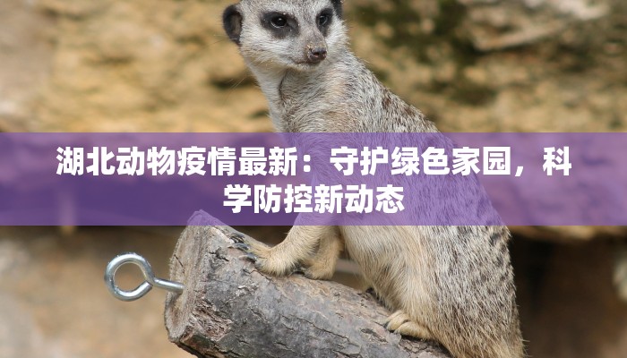 湖北动物疫情最新：守护绿色家园，科学防控新动态