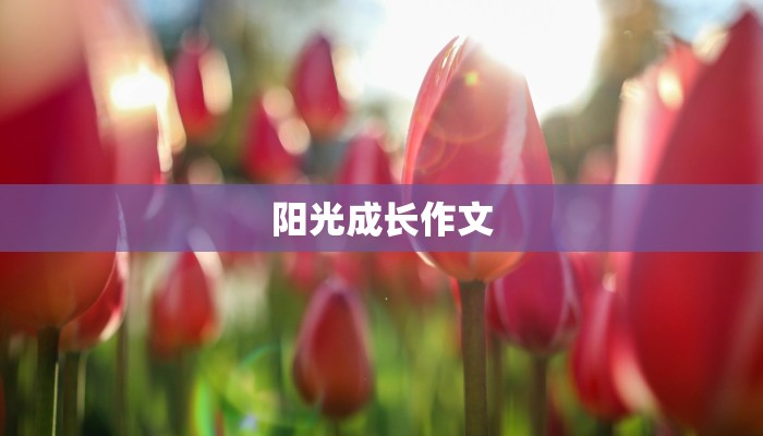 阳光成长作文 阳光成长作文