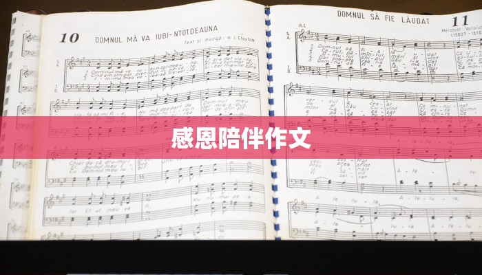 感恩陪伴作文 感恩陪伴作文