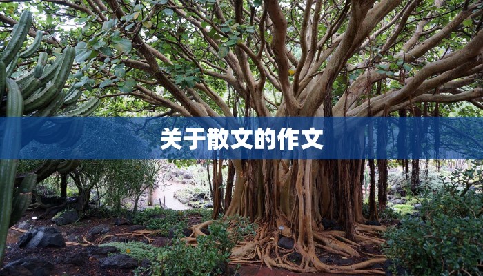 关于散文的作文 关于散文的作文