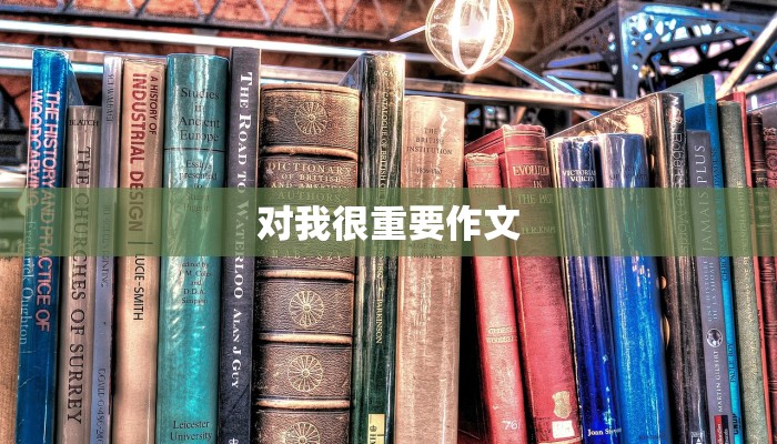 对我很重要作文 对我很重要作文