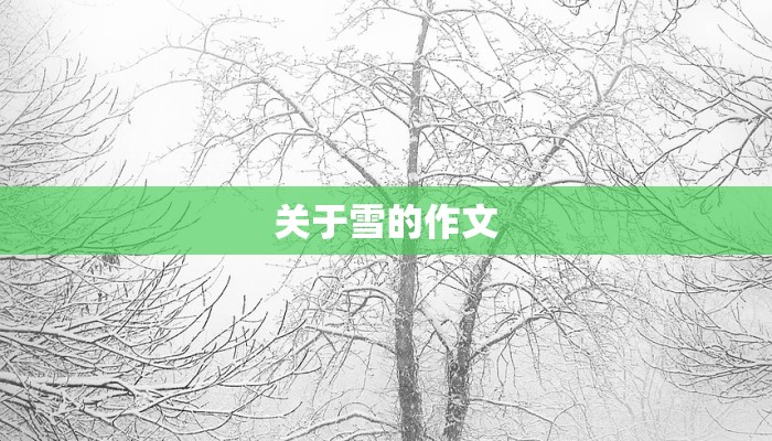 关于雪的作文 关于雪的作文