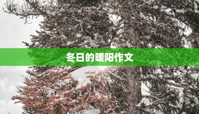 冬日的暖阳作文 冬日的暖阳作文