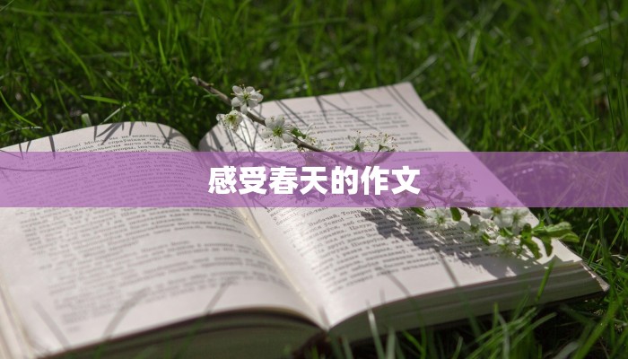 感受春天的作文 感受春天的作文