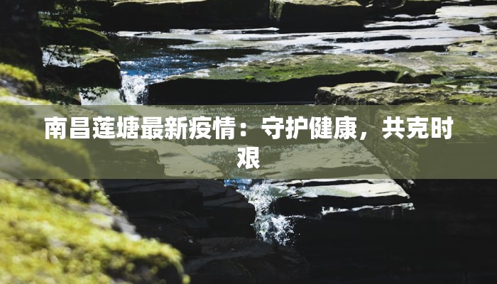 校园的美丽作文 校园的美丽作文