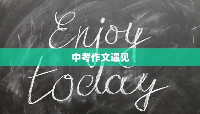 中考作文遇见 中考作文遇见