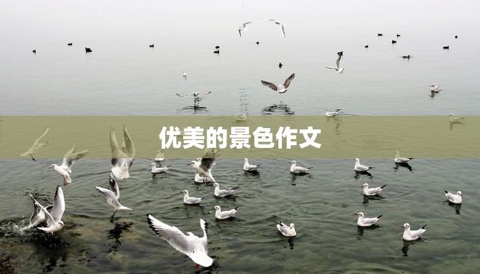 优美的景色作文 优美的景色作文