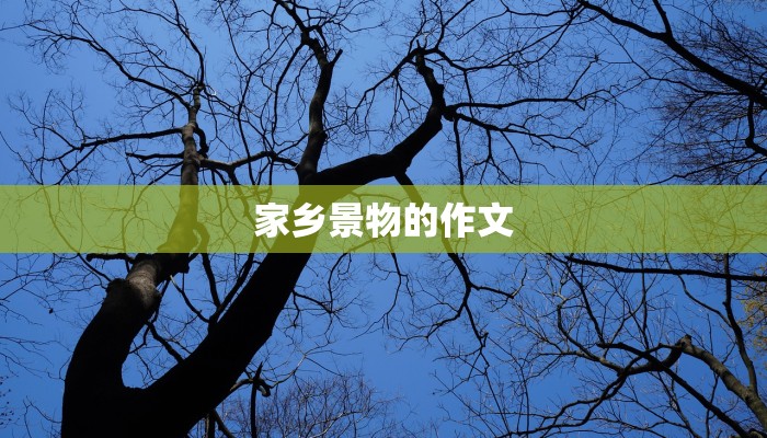 家乡景物的作文 家乡景物的作文