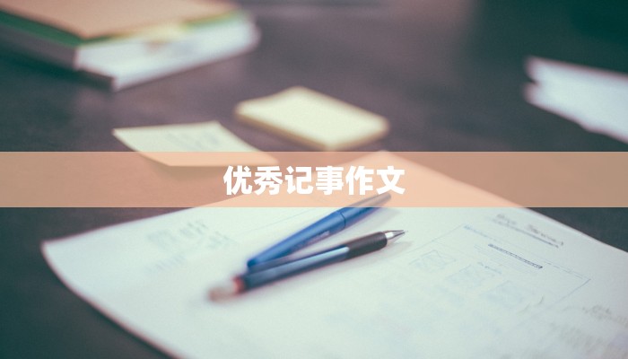 优秀记事作文
