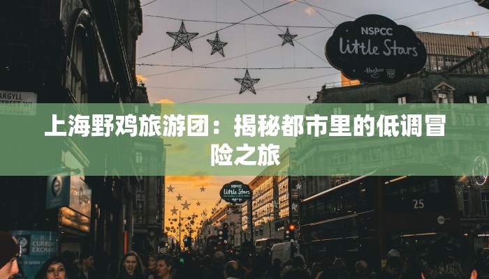 上海野鸡旅游团:揭秘都市里的低调冒险之旅 上海野鸡旅游团:揭秘都市里的低调冒险之旅