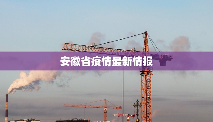 安徽省疫情最新情报