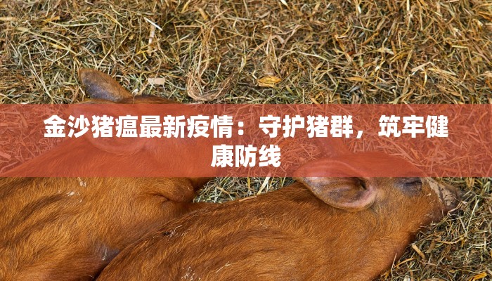 金沙猪瘟最新疫情：守护猪群，筑牢健康防线