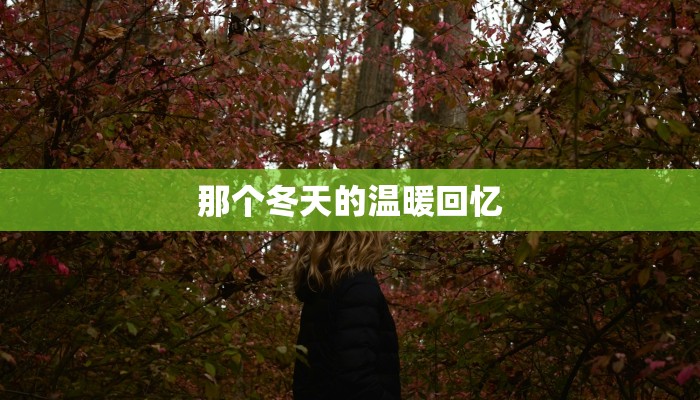 那个冬天的温暖回忆 那个冬天的温暖回忆