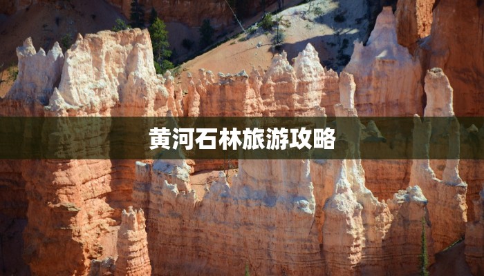 黄河石林旅游攻略
