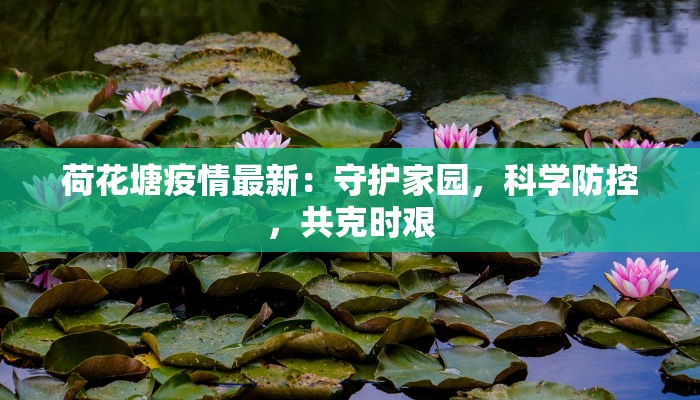 荷花塘疫情最新:守护家园,科学防控,共克时艰 荷花塘疫情最新:守护家园,科学防控,共克时艰