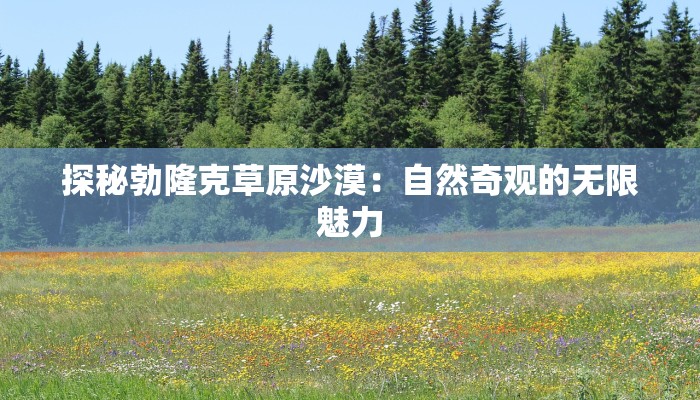 揭秘旅游规划师的薪资魅力：一份高回报的职业梦想