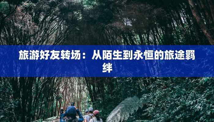 旅游好友转场：从陌生到永恒的旅途羁绊