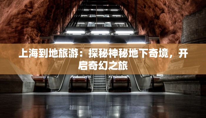 上海到地旅游:探秘神秘地下奇境,开启奇幻之旅 上海到地旅游:探秘神秘地下奇境,开启奇幻之旅