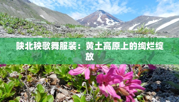 韩国驾考旅游:驾照+美景,一站式韩式冒险 韩国驾考旅游:驾照+美景,一站式韩式冒险