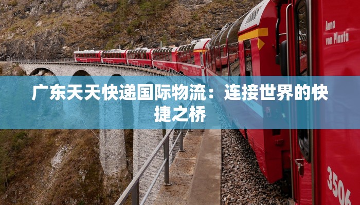 广东天天快递国际物流:连接世界的快捷之桥 广东天天快递国际物流:连接世界的快捷之桥