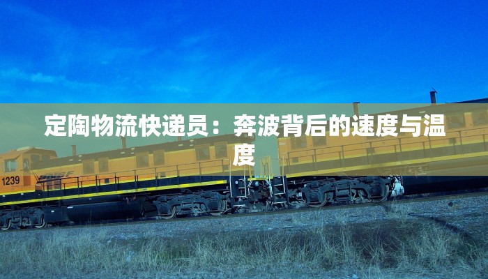 定陶物流快递员:奔波背后的速度与温度 定陶物流快递员:奔波背后的速度与温度