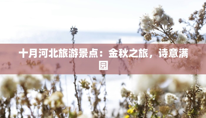 十月河北旅游景点：金秋之旅，诗意满园
