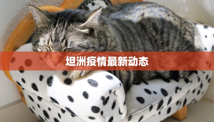 坦洲疫情最新动态 坦洲疫情最新动态