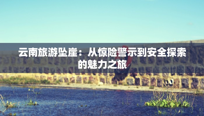 云南旅游坠崖：从惊险警示到安全探索的魅力之旅