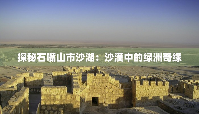探秘石嘴山市沙湖：沙漠中的绿洲奇缘