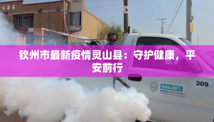 钦州市最新疫情灵山县：守护健康，平安前行