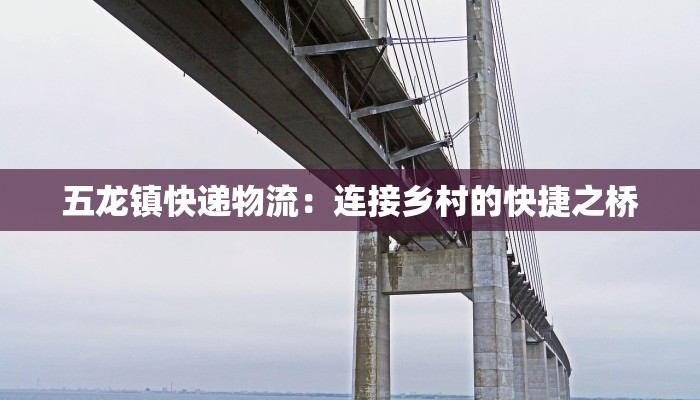 五龙镇快递物流：连接乡村的快捷之桥